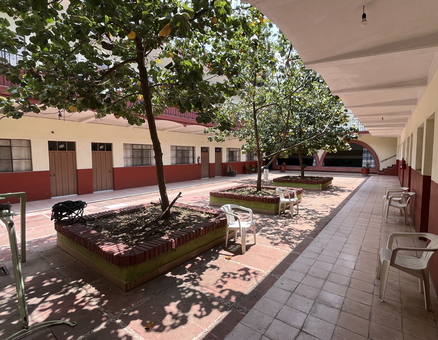 Image 5