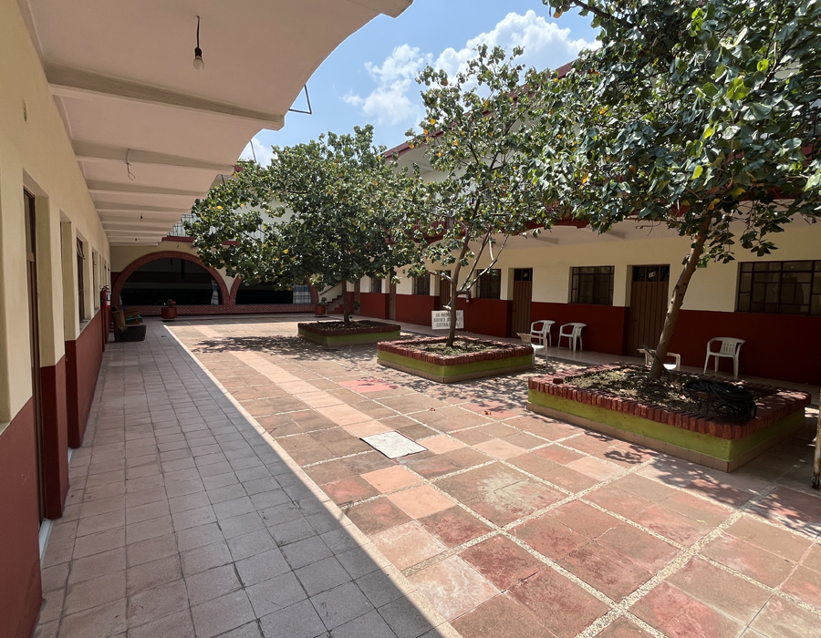 Image 2